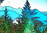 anim-y.gif 58.6k